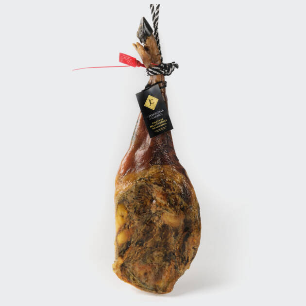 Paleta bellota 75% raza iberica